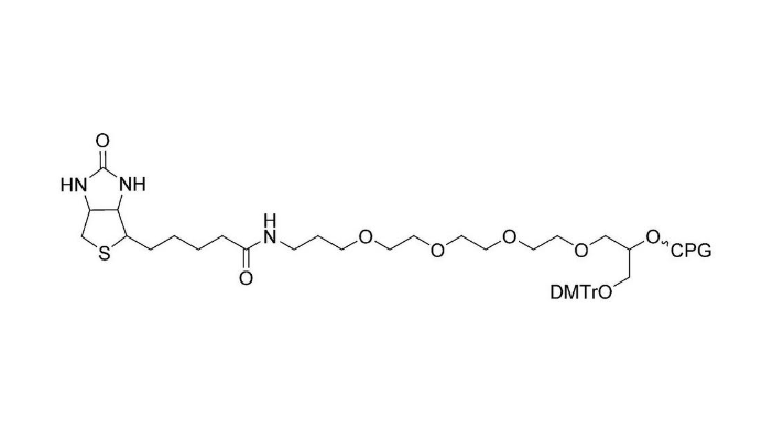 3'-Biotin TEG CPG 1000?,3'-Biotin TEG CPG 1000?