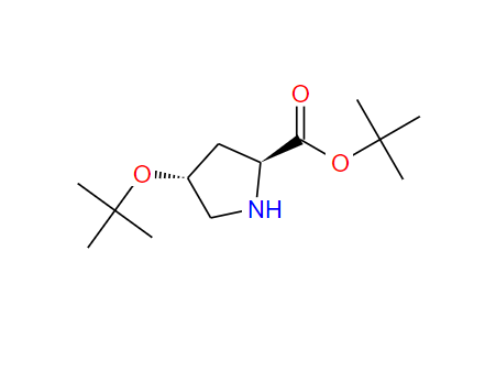 O-tert·Butyl-trans-4-hydroxy-L-prolinetert·butyl,O-tert·Butyl-trans-4-hydroxy-L-prolinetert·butyl