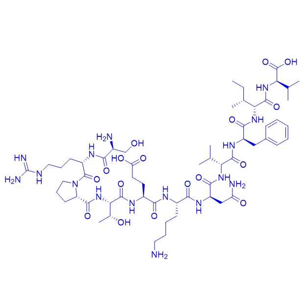 结构域多肽Connexin mimetic peptide 40GAP27,Connexin mimetic peptide 40GAP27