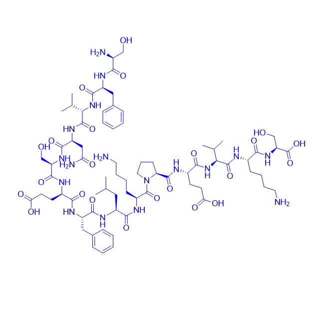 蛋白激酶 C (PKC)抑制剂多肽PKC βII (660-673),Protein Kinase C (660-673)