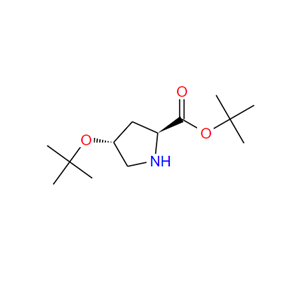 O-tert·Butyl-trans-4-hydroxy-L-prolinetert·butyl,O-tert·Butyl-trans-4-hydroxy-L-prolinetert·butyl