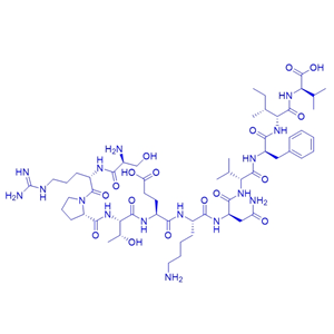 结构域多肽Connexin mimetic peptide 40GAP27/403858-30-0