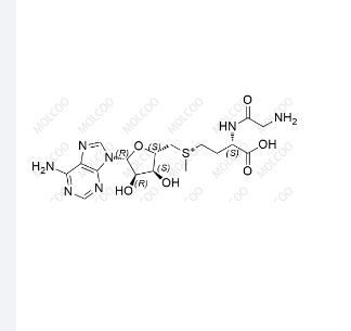 氨基乙酸腺苷蛋氨酸,Amino-acetic acid adenosine methionine
