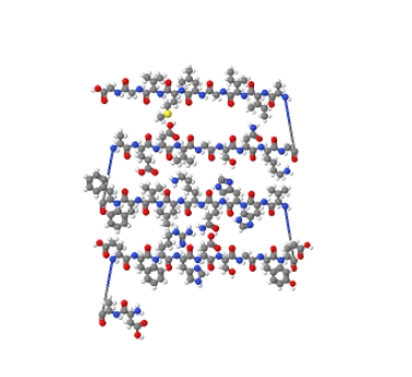 β-淀粉樣肽（1-38）（Aβ38）,beta-Amyloid Peptide (1-38) (Aβ38)