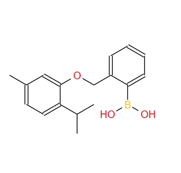 2-[(2-異丙基-5-甲基苯氧基)甲基]苯硼酸,2-[(2-Isopropyl-5-methylphenoxy)methyl]phenylboronic acid