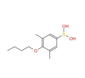 4-丁氧基-3,5-二甲基苯硼酸,4-Butoxy-3,5-dimethylphenylboronic acid