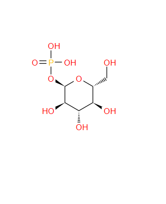 α-D-葡糖-1-磷酸,α-D-Glucose-1-phosphate