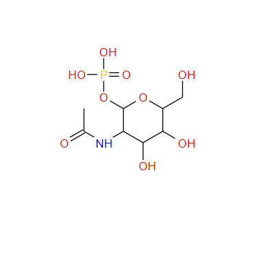 N-乙酰葡糖胺-1-磷酸,N-Acetylglucosamine-1-phosphate