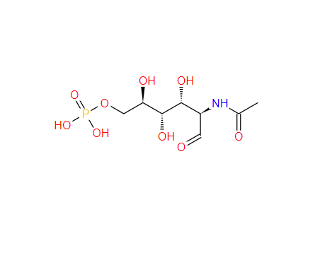 N-乙酰葡糖胺-6-磷酸,N-Acetylglucosamine-6-phosphate