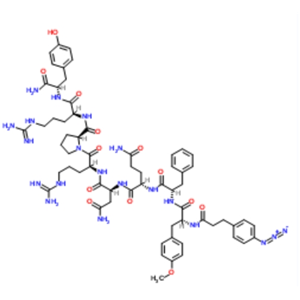 (3-(4-Azidophenyl)propionyl1,D-Tyr(Me)2,Arg6,Arg8,Tyr-NH29)-Vasopressin,(3-(4-Azidophenyl)propionyl1,D-Tyr(Me)2,Arg6,Arg8,Tyr-NH29)-Vasopressin