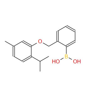 2-[(2-异丙基-5-甲基苯氧基)甲基]苯硼酸 1072951-87-1