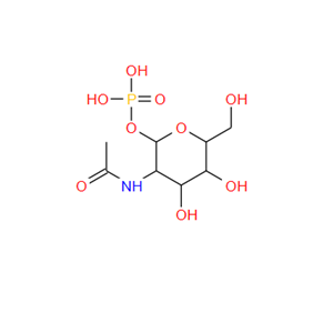 N-乙酰葡糖胺-1-磷酸,N-Acetylglucosamine-1-phosphate