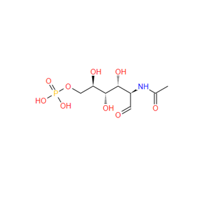 1746-32-3 N-乙酰葡糖胺-6-磷酸