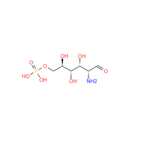 D-葡糖胺-6-磷酸,D-Glucosamine-6-phosphate