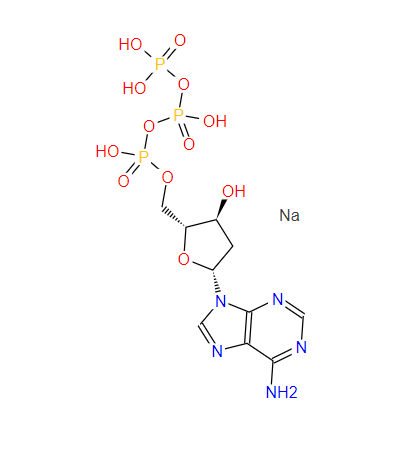 2’-脱氧腺苷-5’-三磷酸二钠,2 -Deoxyadenosine 5-Triphosphate Disodium Salt