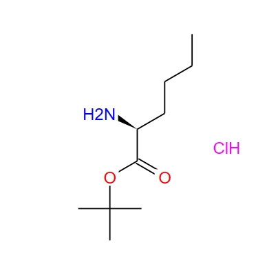 Norleucine tert-butyl ester hydrochloride,Norleucine tert-butyl ester hydrochloride