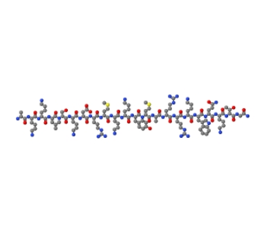 Myosin Light Chain Kinase (480-501),Myosin Light Chain Kinase (480-501)