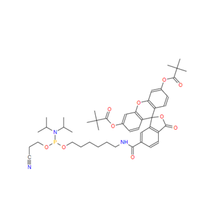 204697-37-0 5'-荧光素氨基磷酸酯