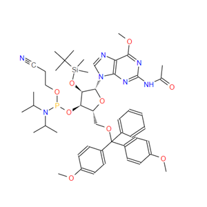 153248-58-9 Ac-rG-CE亚磷酰胺单体