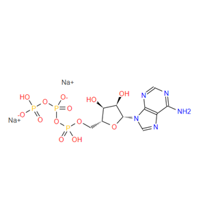 51763-61-2 腺苷-5’-三磷酸二钠盐