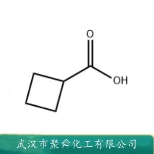 環(huán)丁基甲酸,Cyclo-butyl formic acid