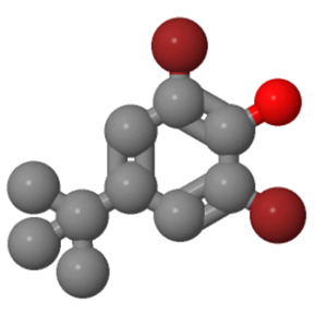 2,6-二溴-4-叔丁基苯酚；98-22-6