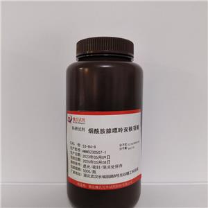 烟酰胺腺嘌呤双核苷酸-53-84-9