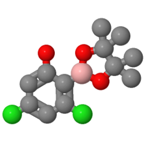 3,5-二氯-2-(4,4,5,5-四甲基-1,3,2-二氧苯甲醛-2-基)苯酚,Phenol, 3,5-dichloro-2-(4,4,5,5-tetramethyl-1,3,2-dioxaborolan-2-yl)-