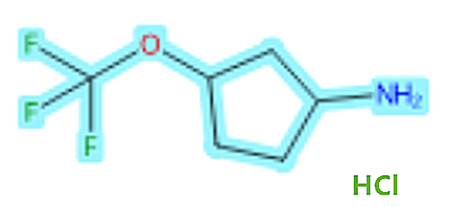 3-(trifluoromethoxy)-Cyclopentanamine hydrochloride,3-(trifluoromethoxy)-Cyclopentanamine hydrochloride