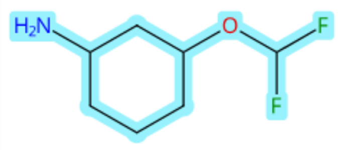 3-(difluoromethoxy)cyclohexan-1-amine,3-(difluoromethoxy)cyclohexan-1-amine