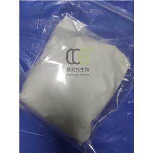 头孢他啶,Ceftazidine