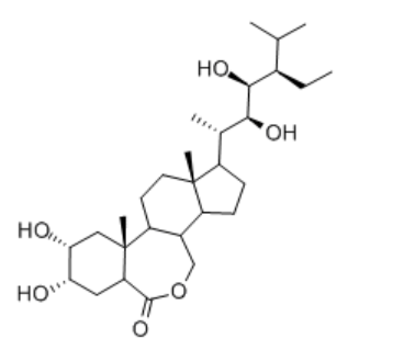 表高油菜素内酯,22(S),23(S)-HOMOBRASSINOLIDE