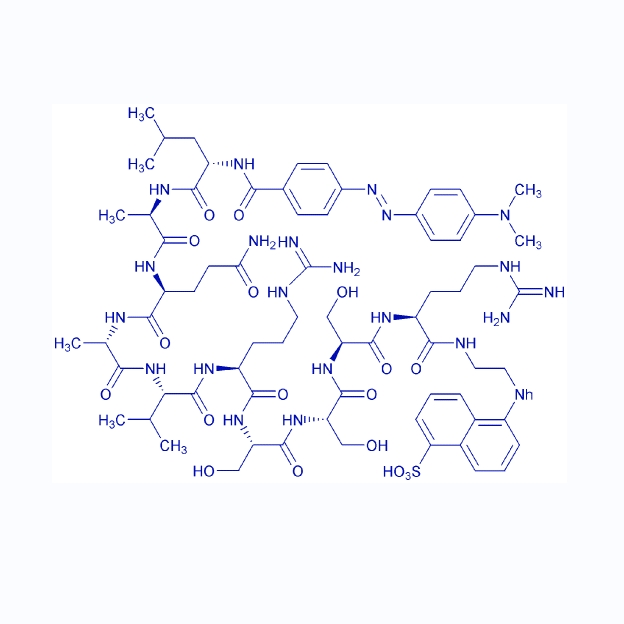 FRET肽底物多肽DABCYL-TNF-a-EDANS (-4 to +6), human,DABCYL-TNF-α-EDANS (-4 to +6) (human)