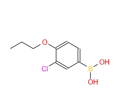 3-氯-4-丙氧基苯硼酸,3-Chloro-4-propoxyphenylboronic acid