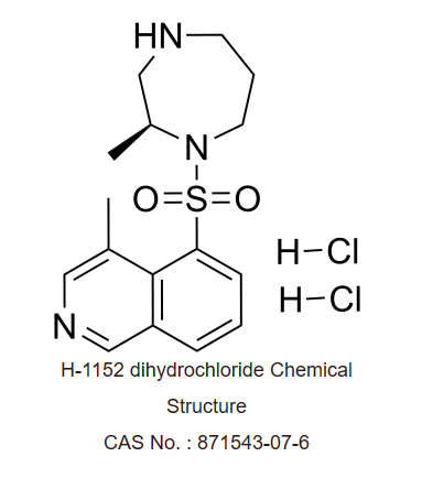 H-1152二盐酸盐,H-1152 Dihydrochloride