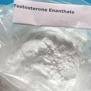 庚酸睾酮|庚酸睾丸素|Testosterone enanthate 