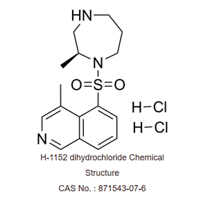 H-1152二盐酸盐是一种膜通透的，选择性的 ROCK 抑制剂