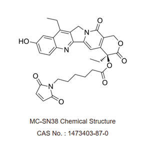 MC-SN38 是一种由有效的微管破坏剂