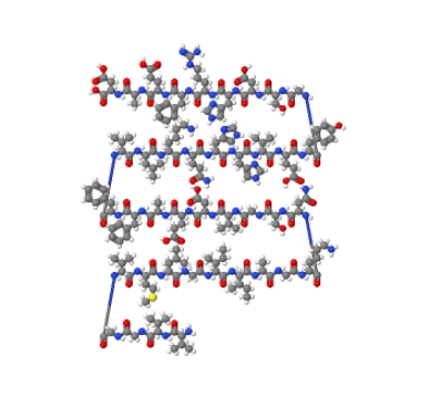 β-淀粉样蛋白 β-Amyloid (40-1),Amyloid β-Protein (40-1)/β-Amyloid (40-1)