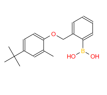 2-[(4′-叔丁基-2′-甲基苯氧基)甲基]苯硼酸,2-[(4-tert-Butyl-2-methylphenoxy)methyl]phenylboronicacid