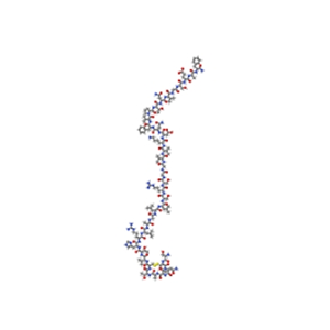 降钙素基因相关肽α-CGRP (rat) 83651-90-5