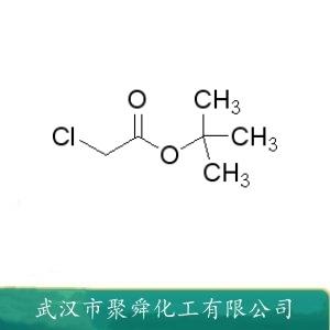 氯乙酸叔丁酯,tert-Butyl chloroacetate