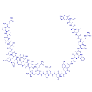 Klotho衍生肽6/2102414-23-1/Klotho-derived peptide 6
