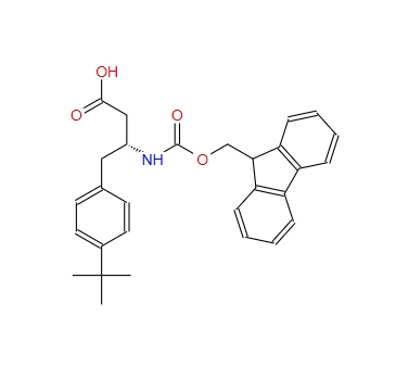 Fmoc-R-3-氨基-4-(4-叔丁基苯基)-丁酸,Fmoc-(R)-3-Amino-4-(4-Tbutylphenyl)-butyric acid