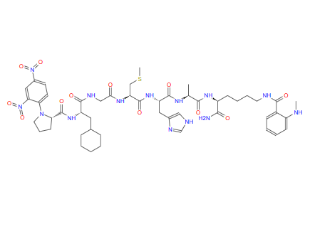 基质金属蛋白酶-1(MMP-1)/MMP-9荧光底物多肽,MMP-1/MMP-9 Substrate, Fluorogenic