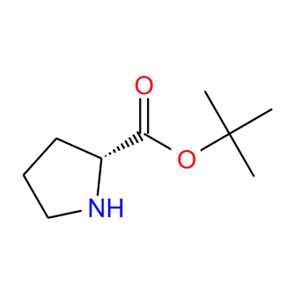 90071-62-8；(R)-叔丁基吡咯烷-2-羧酸盐；(R)-tert-Butyl pyrrolidine-2-carboxylate