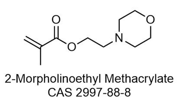 2-N-吗啉乙基甲基丙烯酸酯,2-Morpholinoethyl Methacrylate