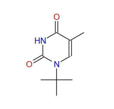 1-tert-butylthymine,1-tert-butylthymine