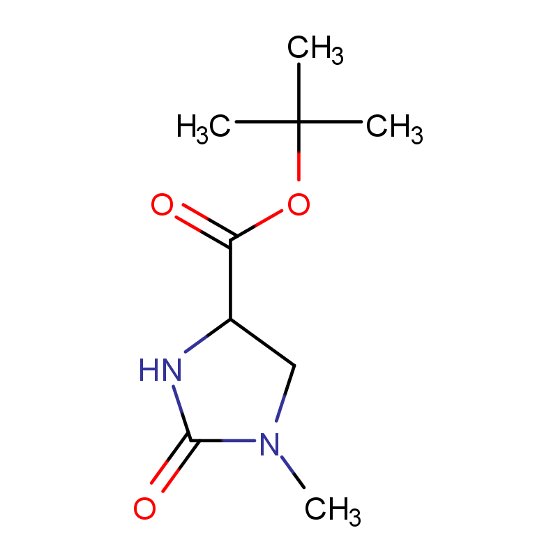 (4S)-1-甲基-2-氧代咪唑啉-4-甲酸叔丁酯,(4S)-1-methyl-2-oxoimidazolidine-4-carboxylic acid t-butyl ester