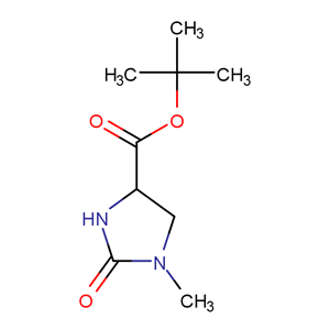 (4S)-1-甲基-2-氧代咪唑啉-4-甲酸叔丁酯 83056-79-5